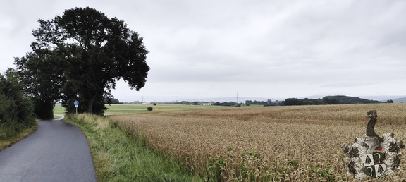 Regenspaziergang Hohe Straße