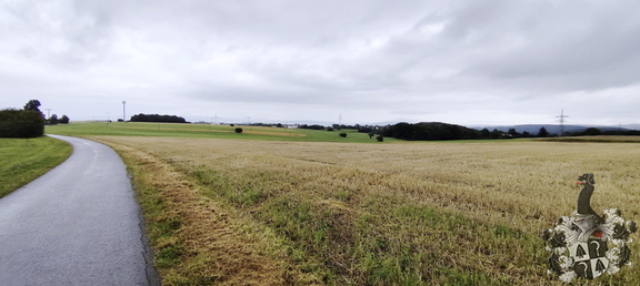 Regenspaziergang Hohe Straße