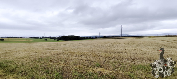 Regenspaziergang Hohe Straße