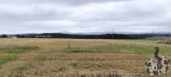 Regenspaziergang Hohe Straße