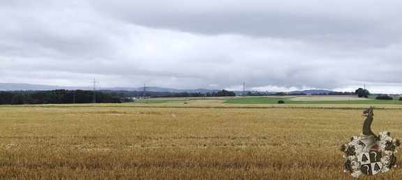 Regenspaziergang Hohe Straße