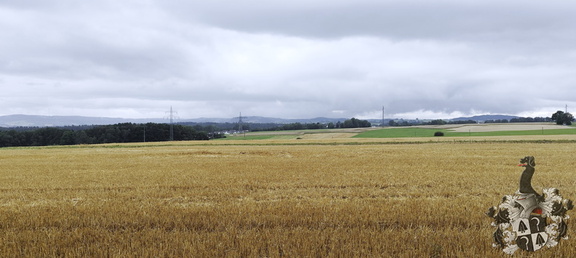 Regenspaziergang Hohe Straße