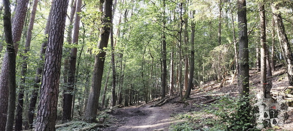 Meyernberg: Teufelsgraben, Teufelsbrücke und Lost Place