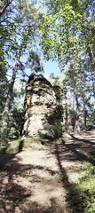 Buchstein, Forstmühle, Geigenreuth