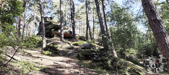 Buchstein, Forstmühle, Geigenreuth