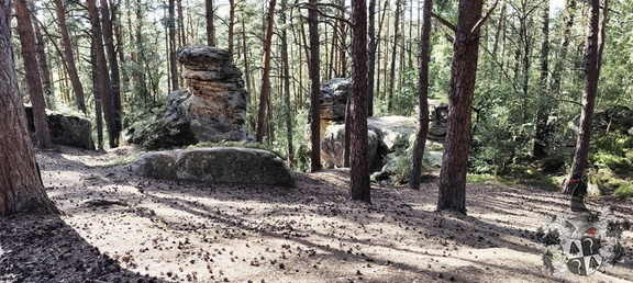 Buchstein, Forstmühle, Geigenreuth