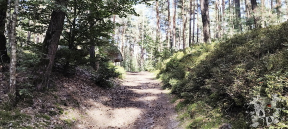 Buchstein, Forstmühle, Geigenreuth