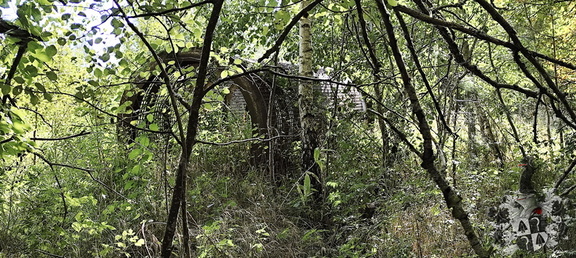 Buchstein, Forstmühle, Geigenreuth
