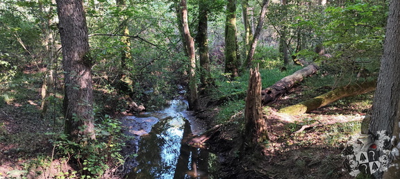Geigenreuth, Örtelfelsen, Katzenstein, Schloßpark Fantaisie