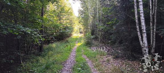 Geigenreuth, Örtelfelsen, Katzenstein, Schloßpark Fantaisie