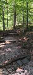 Geigenreuth, Örtelfelsen, Katzenstein, Schloßpark Fantaisie