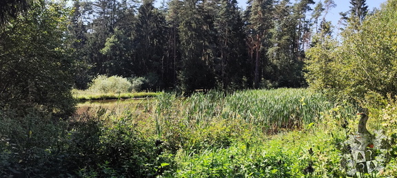 Begegnen - Bewegen - Besinnen