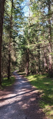 Begegnen - Bewegen - Besinnen