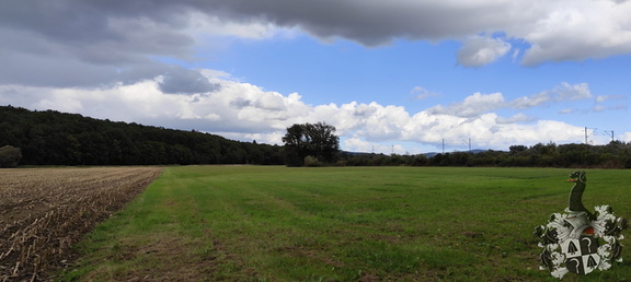 Jakobus Nebenweg Kronach - Redwitz