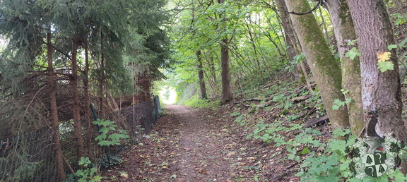 Fränkischer Jakobusweg: Coburg - Lichtenfels