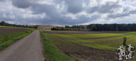 Fränkischer Jakobusweg: Coburg - Lichtenfels