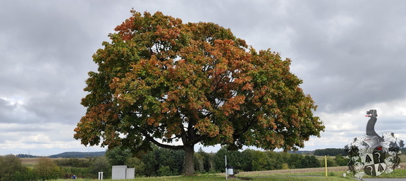Fränkischer Jakobusweg: Coburg - Lichtenfels