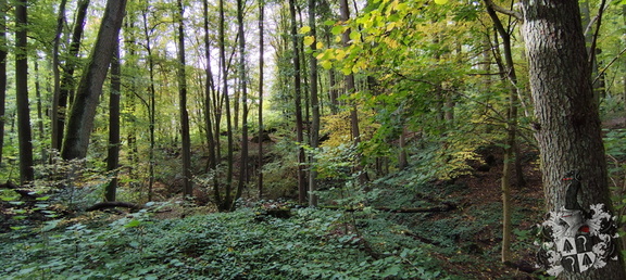 Teufelsgraben, Teufelsbrücke, Lost Place, Hohe Straße