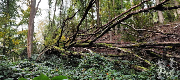 Teufelsgraben, Teufelsbrücke, Lost Place, Hohe Straße