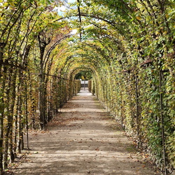 2024-10-17 - Schloßpark Fantaisie