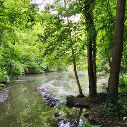 2025-05-29 - Mittelfränkischer Jakobusweg - Nürnberg - Roßtal
