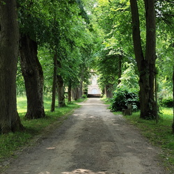 2025-06-09 - Bad Alexandersbad