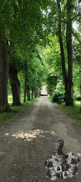 20250609-131350-0000-Bad_Alexandersbad.jpg