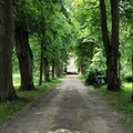 Bad Alexandersbad