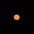 Erdbeermond