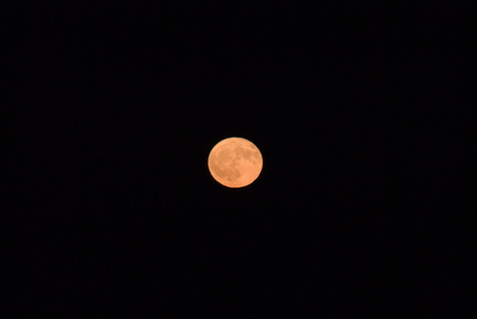 Erdbeermond