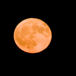 2026-06-11 - Erdbeermond