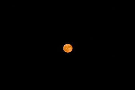 Erdbeermond