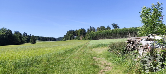 Oberfränkischer Jakobusweg: Helmbrechts - Marktschorgast