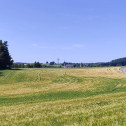 2025-06-21 - Oberfränkischer Jakobusweg: Helmbrechts - Marktschorgast