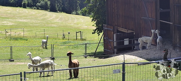 Oberfränkischer Jakobusweg: Helmbrechts - Marktschorgast