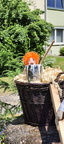2025-06-22 - Brunnenfest Wunsiedel