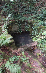 Oberfränkischer Jakobusweg: Marktschorgast - Bayreuth