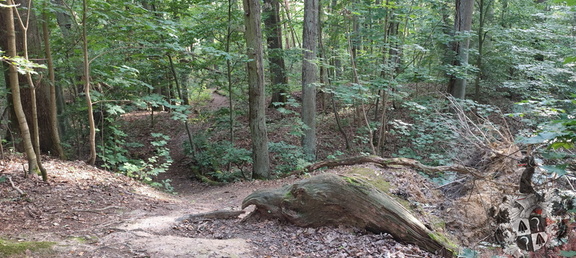 Bayreuth - Wald und Lost Place