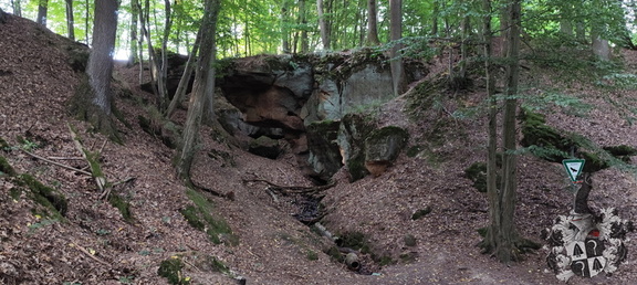 Bayreuth - Wald und Lost Place