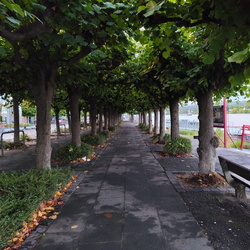 2025-09-13/14 - Königswinter