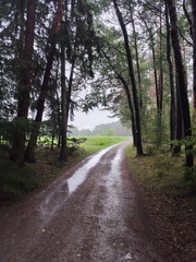 Mittelfränkischer Jakobusweg: Heilsbronn - Schönbronn