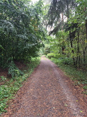 Mittelfränkischer Jakobusweg: Heilsbronn - Schönbronn