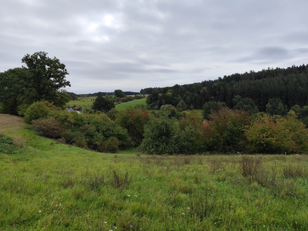 Mittelfränkischer Jakobusweg: Schönbronn - Unterheßbach