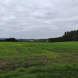 2025-09-27 - Jakobuswegzubringer: Neudrossenfeld - Bayreuth