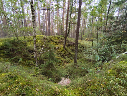 Jakobusweg-Zubringer: Neudrossenfeld - Bayreuth