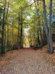 20251021-152112-0004-Schlosspark Fantaisie