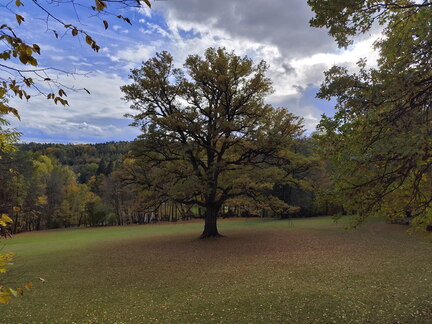 20251021-152551-0006-Schlosspark Fantaisie