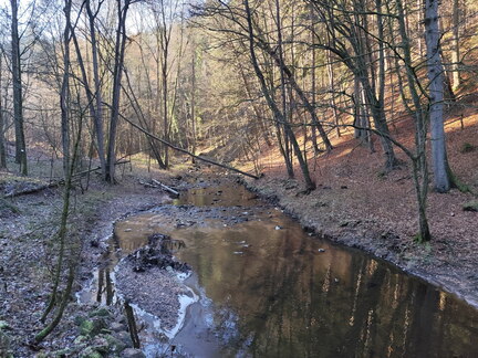 20251122-124508-0015-Jakobsweg-Bayreuth-Creussen