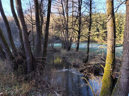 20251122-144250-0018-Jakobsweg-Bayreuth-Creussen