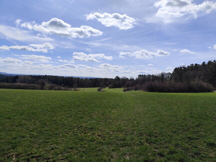 Oberfränkischer Jakobusweg: Pegnitz - Betzenstein
